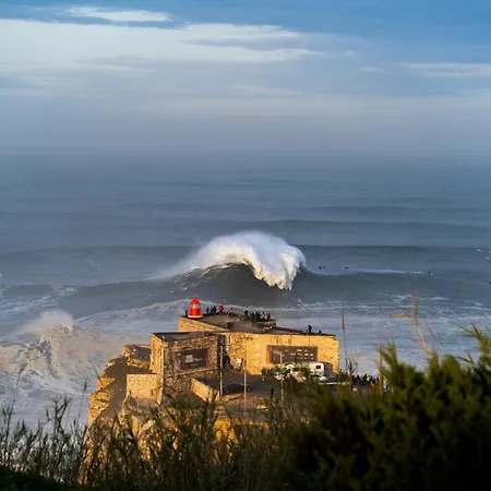 Apartment Salty Nazare